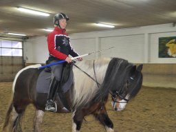 DSC_0246-2_web